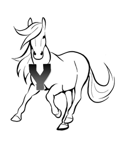 Y trademark