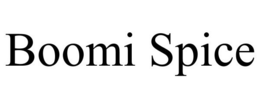 BOOMI SPICE trademark