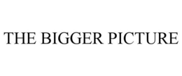 THE BIGGER PICTURE trademark