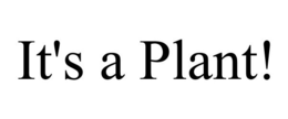 IT'S A PLANT! trademark
