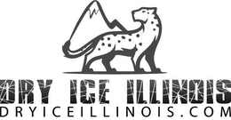 DRY ICE ILLINOIS DRYICEILLINOIS.COM trademark