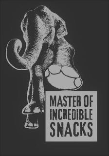 MASTER OF INCREDIBLE SNACKS trademark