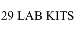 29 LAB KITS trademark