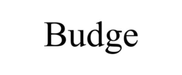 BUDGE trademark