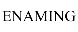 ENAMING trademark