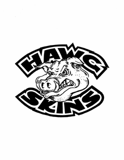 HAWG SKINS trademark