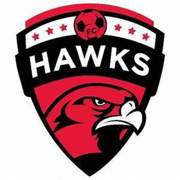 FC HAWKS trademark