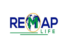 REMAP LIFE trademark