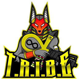 T.R.I.B.E trademark