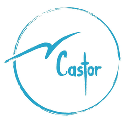 M CASTOR trademark
