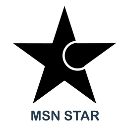 MSN STAR trademark