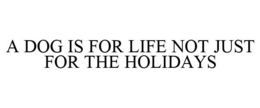 A DOG IS FOR LIFE NOT JUST FOR THE HOLIDAYS trademark