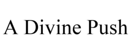 A DIVINE PUSH trademark