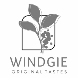 WINDGIE ORIGINAL TASTES trademark
