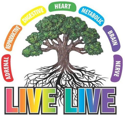 LIVE LIVE ADRENAL REPRODUCTIVE DIGESTIVE HEART METABOLIC BRAIN NERVE trademark
