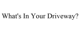 WHAT'S IN YOUR DRIVEWAY? trademark