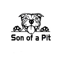 SON OF A PIT trademark
