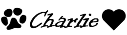 CHARLIE trademark