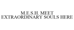 M.E.S.H. MEET EXTRAORDINARY SOULS HERE trademark