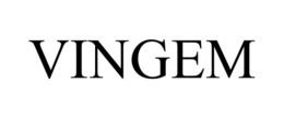 VINGEM trademark