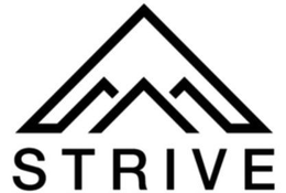 STRIVE trademark