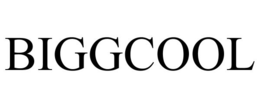 BIGGCOOL trademark