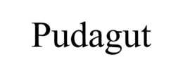 PUDAGUT trademark