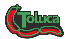 TOLUCA trademark