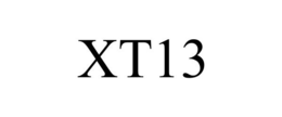 XT13 trademark