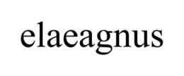 ELAEAGNUS trademark