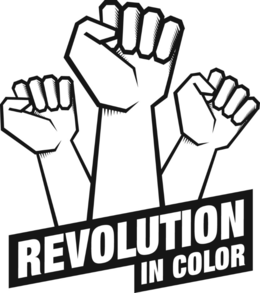 REVOLUTION IN COLOR trademark