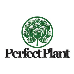 PERFECT PLANT trademark