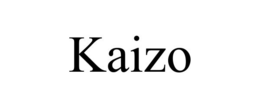 KAIZO trademark