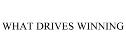 WHAT DRIVES WINNING trademark