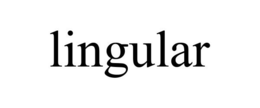LINGULAR trademark