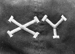 XY trademark