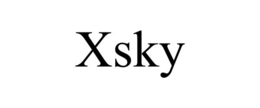 XSKY trademark