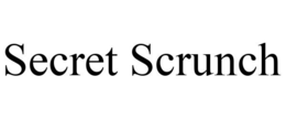 SECRET SCRUNCH trademark