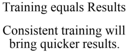 TRAINING EQUALS RESULTS CONSISTENT TRAINING WILL BRING QUICKER RESULTS. trademark