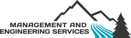 MANAGEMENT AND ENGINEERING SERVICES trademark