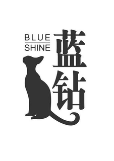 BLUE SHINE trademark