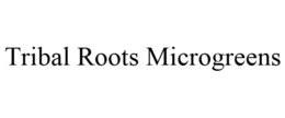 TRIBAL ROOTS MICROGREENS trademark