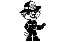 FLARE trademark