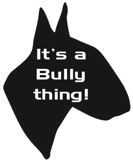 IT'S A BULLY THING! trademark
