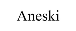 ANESKI trademark