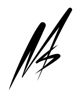 MS trademark