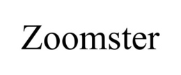 ZOOMSTER trademark