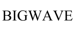 BIGWAVE trademark
