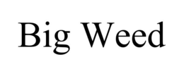 BIG WEED trademark
