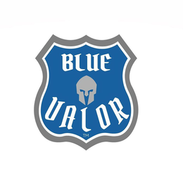 BLUE VALOR trademark